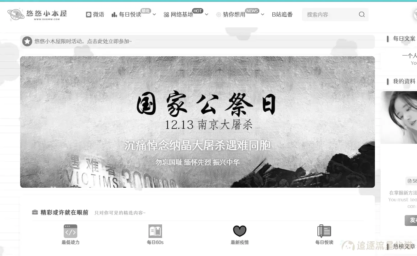 图片[1]-全站变灰教程-追逐流星的猫